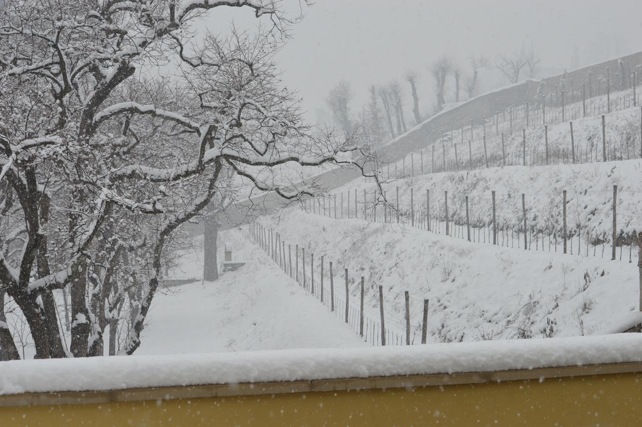 Villa Biondelli Wine & Suites Cazzago San Martino Exteriér fotografie